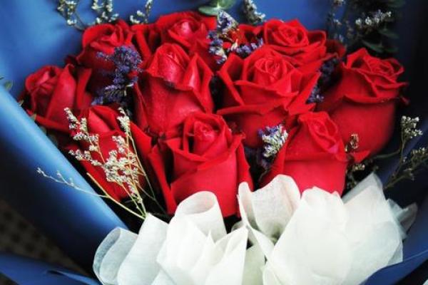 24朵玫瑰代表什么 24朵玫瑰代表什么