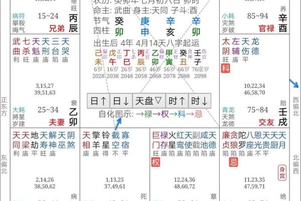 2025年4月30日亥时男命紫微斗数全解盘 2025年4月30日亥时男命紫微斗数全解盘