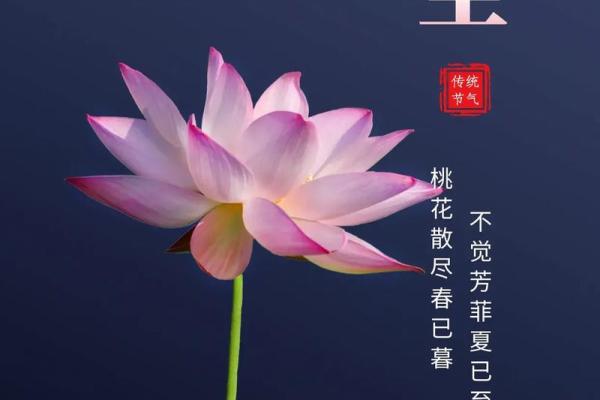 2021年夏至 2021年夏至