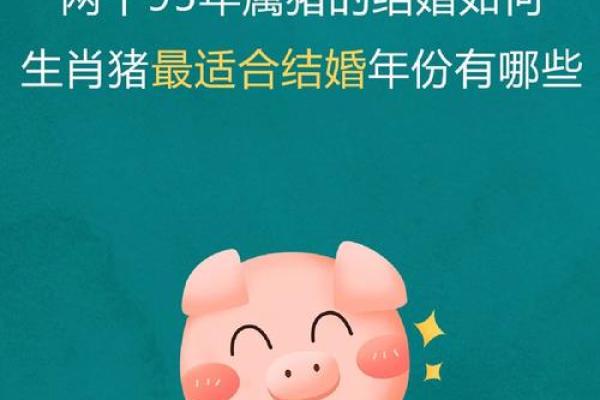 属猪和属猪的婚姻配对适合做夫妻吗 属猪和属猪的婚姻配对适合做夫妻吗