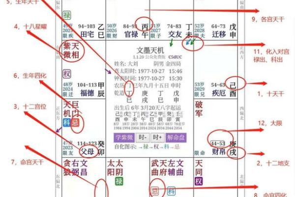 2025年4月4日卯时女命紫微斗数全解盘 2025年4月4日卯时女命紫微斗数全解盘
