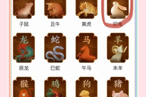 2024年2月9号属兔还是龙_2024年2月9日属兔还是龙春节前夕生肖归属解析