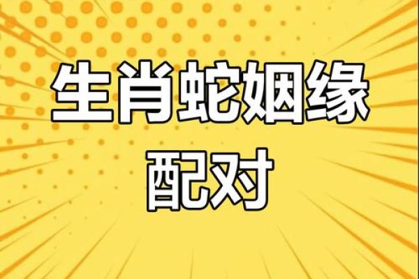 2001年属蛇和2002年属马婚配解析姻缘性格与爱情运势 2001年属蛇和2002年属马婚配解析姻缘性格与爱情运势