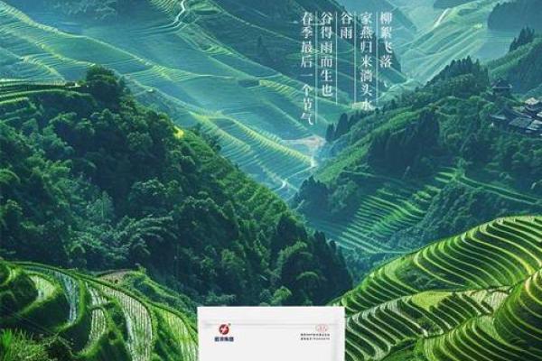 2020年谷雨 2020年谷雨