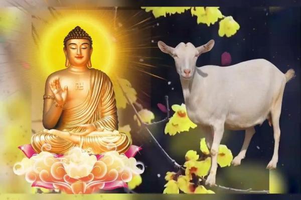 91年属羊人2025年婚姻运势解析爱情与幸福的关键年 91年属羊人2025年婚姻运势解析爱情与幸福的关键年