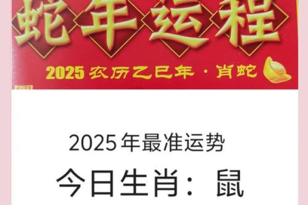 2008属鼠人2025年全年运势运程