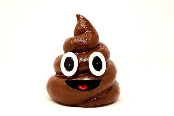 梦见狗屎是什么意思周公解梦