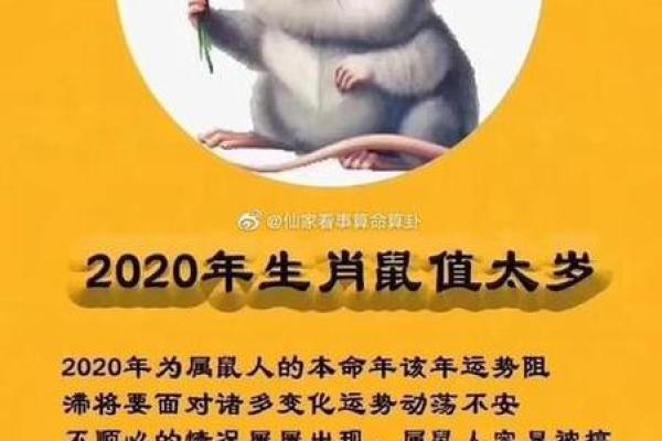 2025年1996年属鼠女的全年运势