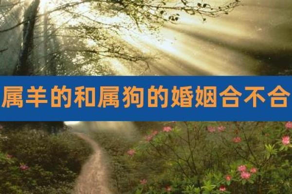 属羊男跟属狗女相配吗_属羊男与属狗女婚配合适吗