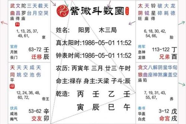 2025年4月30日午时男命紫微斗数全解盘 2025年4月30日午时男命紫微斗数全解盘
