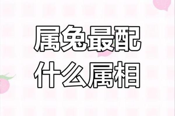 属兔的最佳配对_属兔最佳配偶是属什么 属兔的最佳配对_属兔最佳配偶是属什么