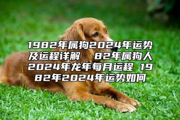 1982年属狗佩戴什么可以带来财运 1982年属狗人佩戴什么饰品能提升财运 1982年属狗佩戴什么可以带来财运 1982年属狗人佩戴什么饰品能提升财运
