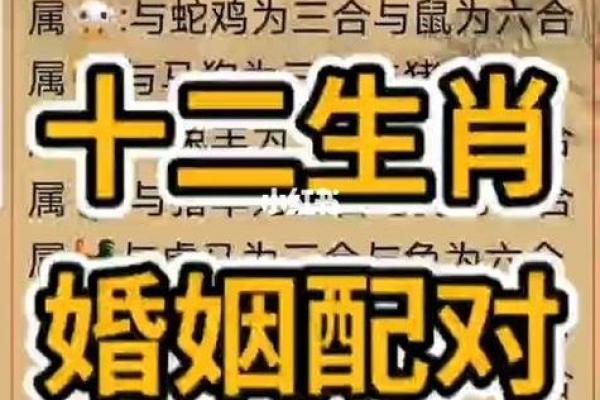生辰八字配对免费 免费生辰八字配对揭秘最佳姻缘组合 生辰八字配对免费 免费生辰八字配对揭秘最佳姻缘组合