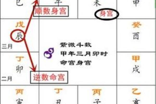 2025年4月17日辰时女命紫微斗数全解盘 2025年4月17日辰时女命紫微斗数全解盘