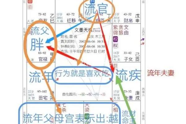 2025年4月2日午时男命紫微斗数全解盘 2025年4月2日午时男命紫微斗数全解盘