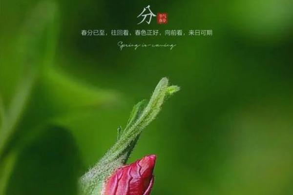 2022年几点几分立春 2022年几点几分立春