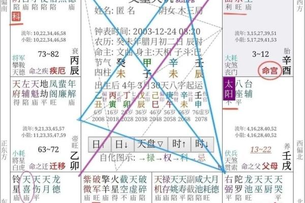 2025年4月30日戌时男命紫微斗数全解盘 2025年4月30日戌时男命紫微斗数全解盘