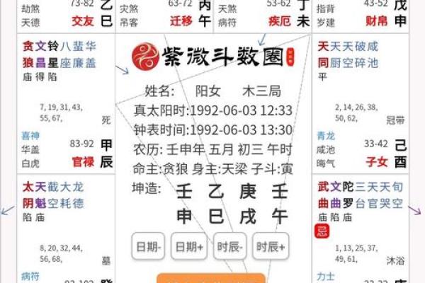 2025年4月19日午时女命紫微斗数全解盘