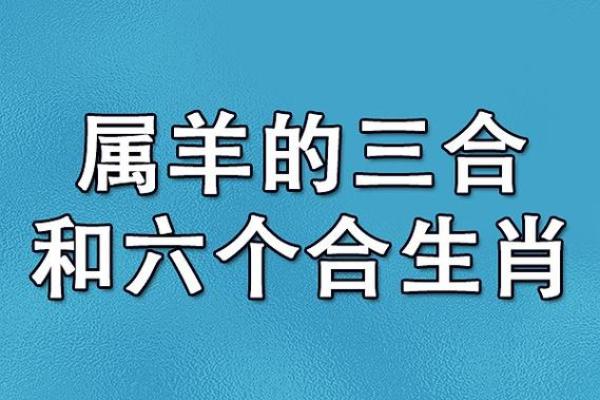 属鼠和属羊婚配好吗揭秘生肖配对最佳组合 属鼠和属羊婚配好吗揭秘生肖配对最佳组合