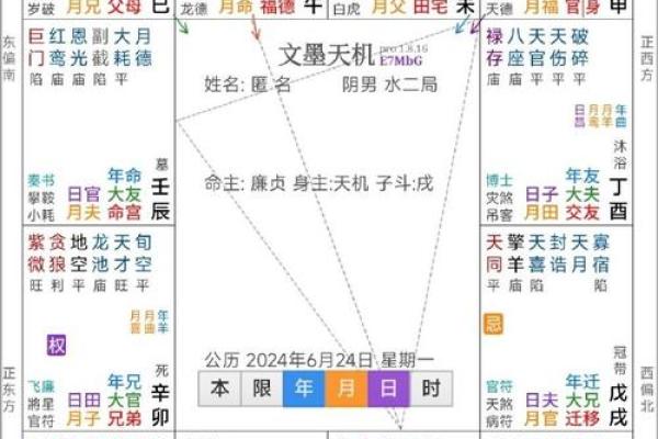 2025年4月1日寅时男命紫微斗数全解盘 2025年4月1日寅时男命紫微斗数全解盘
