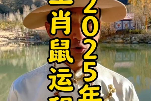 1984年属鼠男2025年的运势和婚姻 1984年属鼠男2025年的运势和婚姻