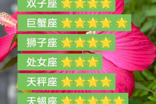 白羊座今日运势今日运程(白羊座今日运势星座网) 白羊座今日运势今日运程(白羊座今日运势星座网)