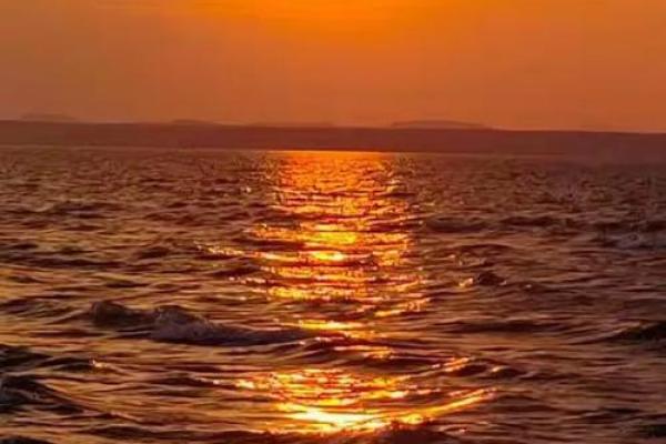 夜不能寐是什么生肖(夜不能寐是什么动物) 夜不能寐是什么生肖(夜不能寐是什么动物)