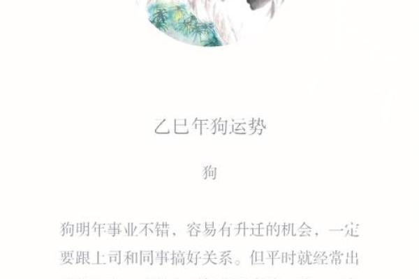 2025年生肖狗的运势_2025年生肖狗运势详解财运事业爱情全面解析