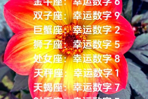 金牛座今日运势星座运势查询 金牛座今日运势星座运势查询