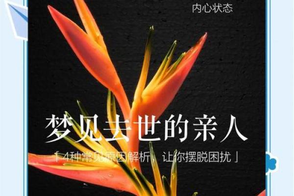 梦到人死了是什么征兆 女性