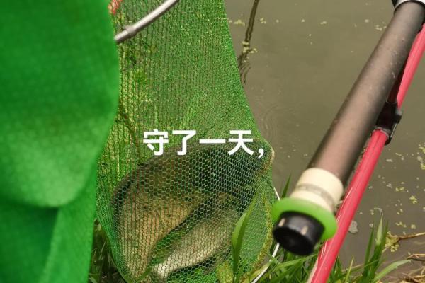 梦见钓到大鱼 梦见钓到大鱼
