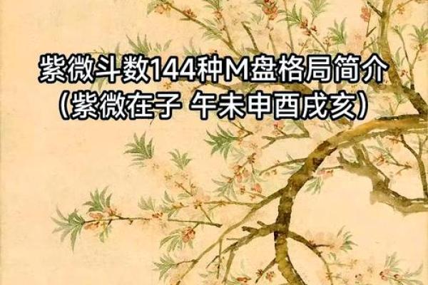 2025年4月18日亥时男命紫微斗数全解盘 2025年4月18日亥时男命紫微斗数全解盘