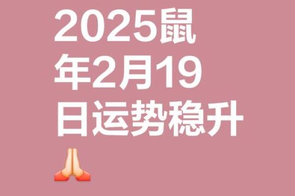 1972年属鼠人2025年运势及运程 1972年属鼠人2025年运势及运程