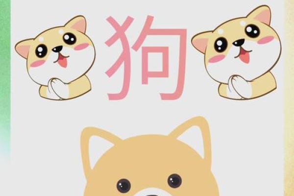 属狗的今年多大了2025年_2025年虚岁年龄表