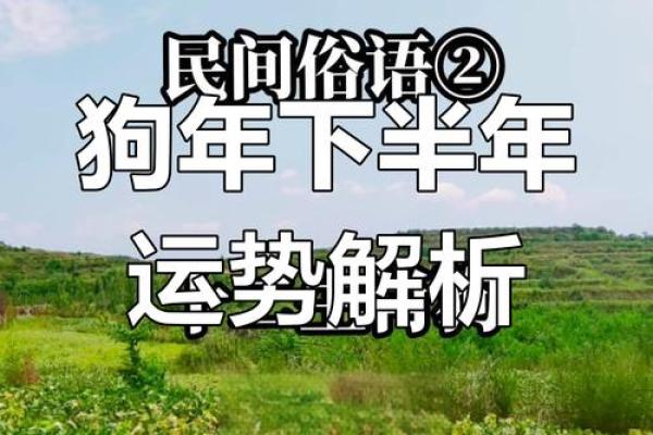 1994属狗男2025年运势详解全年运程大揭秘