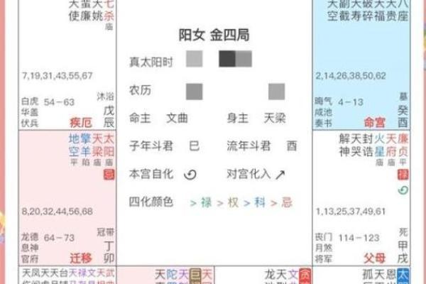 2025年4月10日戌时女命紫微斗数全解盘 2025年4月10日戌时女命紫微斗数全解盘