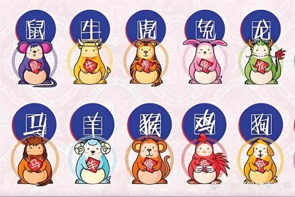 十拿九稳是金火是什么生肖 十拿九稳是金火是什么生肖