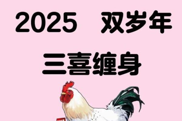 属鸡今年运势2025年运势_属鸡今年运势2025年运势如何 属鸡今年运势2025年运势_属鸡今年运势2025年运势如何
