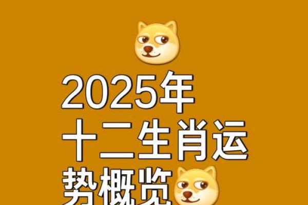 2025年鼠人运程1972每月运势 2025年鼠人运程1972每月运势