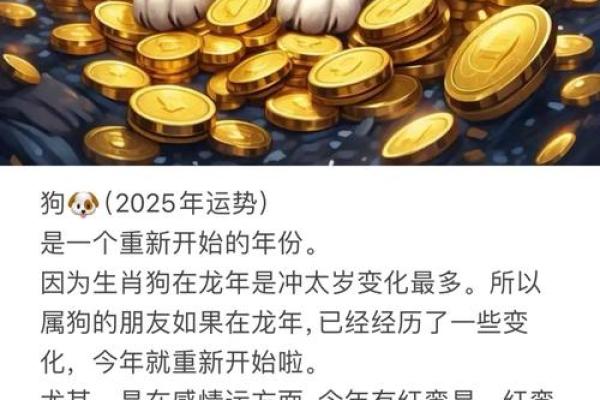 2025年属狗幸运色揭秘提升运势的最佳颜色选择 2025年属狗幸运色揭秘提升运势的最佳颜色选择