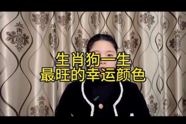2025年属狗幸运色揭秘提升运势的最佳颜色选择 2025年属狗幸运色揭秘提升运势的最佳颜色选择