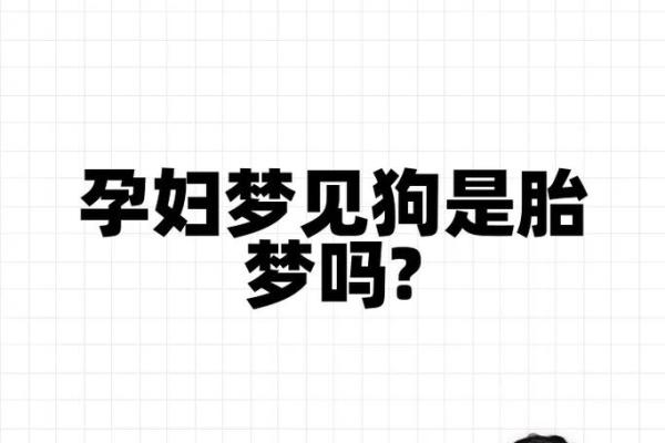 2345周公解梦原版免费梦见狗
