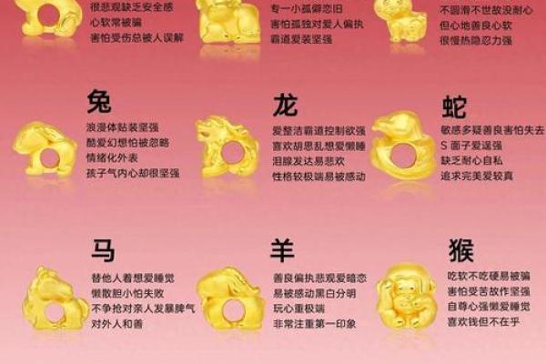 2025年4月11日生肖运势详解 2025年4月11日生肖运势详解