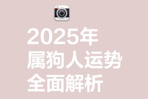 1994年狗2025年运势 2025年1994属狗人的全年运势