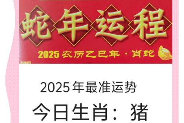 2025年属猪的人运气怎么样 2025年属猪人的全年运势详解 2025年属猪的人运气怎么样 2025年属猪人的全年运势详解