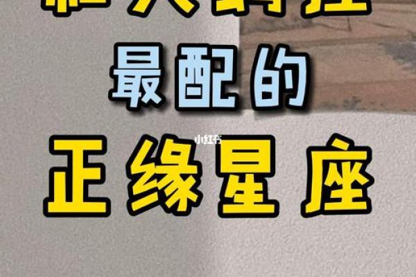 双子座和天蝎座匹配(双子座和天蝎座匹配度) 双子座和天蝎座匹配(双子座和天蝎座匹配度)