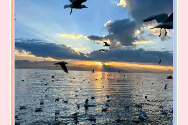 随波逐流是什么生肖(随波逐流是什么生肖)