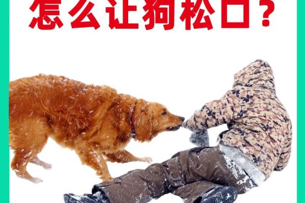 梦到被狗咬是什么意思 梦到被狗咬是什么意思