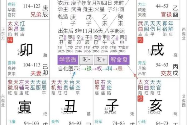 2025年4月3日戌时男命紫微斗数全解盘 2025年4月3日戌时男命紫微斗数全解盘
