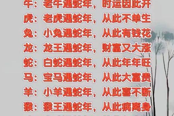 “与虎谋皮”打一个生肖动物,与虎谋皮打一生肖答案解释释义落实 “与虎谋皮”打一个生肖动物,与虎谋皮打一生肖答案解释释义落实